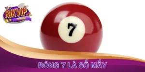 Bóng 7 Là Số Mấy? Giải Đáp & Tất Cả Thông Tin Cần Biết