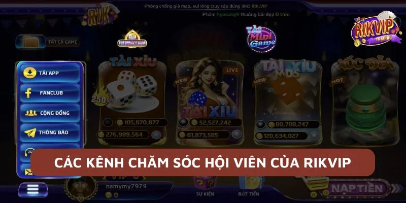 Hướng dẫn hội viên Rikvip cách sử dụng dịch vụ support 