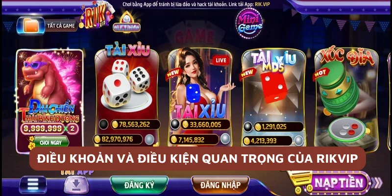 Điều Khoản Điều Kiện Rikvip – Những Điều Người Chơi Cần Biết 2 Tổng hợp quy định quan trọng trong điều khoản điều kiện Rikvip