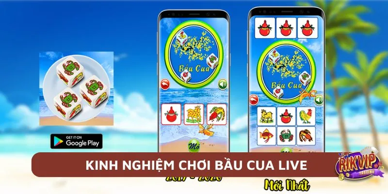 Kinh nghiệm chơi Bầu cua live Rikvip chỉ có thắng 