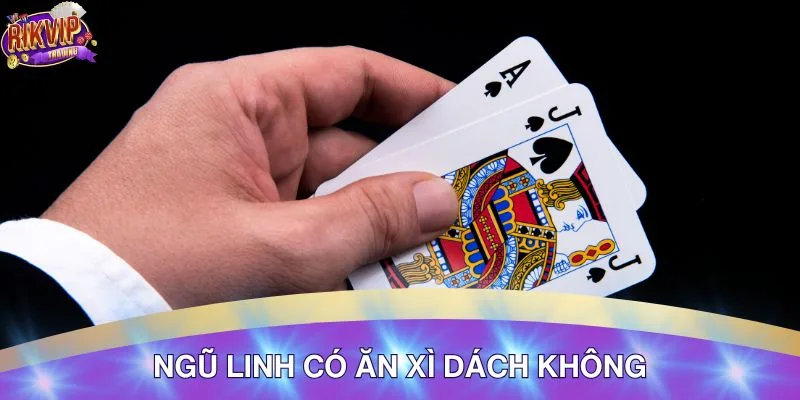 Phân Tích Ngũ Linh Có Ăn Xì Dách Không - Chi Tiết 2 Khám phá ngũ linh có ăn xì dách không
