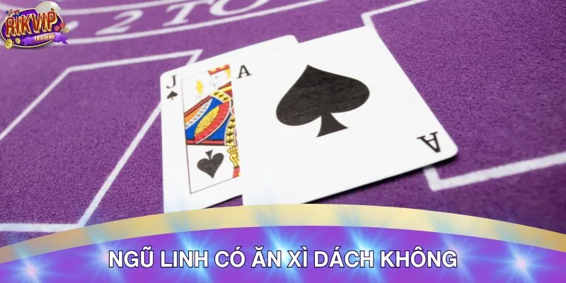 Phân Tích Ngũ Linh Có Ăn Xì Dách Không - Chi Tiết 4 Trả lời câu hỏi ngũ linh có ăn xì dách không